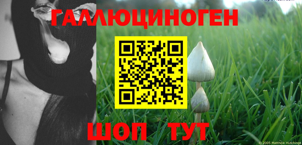 Галлюциногенные грибы мухоморы Луховицы