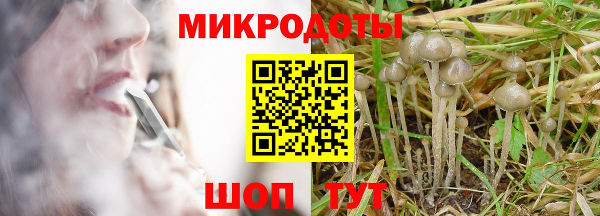 Луховицы  Галлюциногенные грибы Cubensis  Вход с VPN 